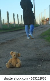 abandoned bear