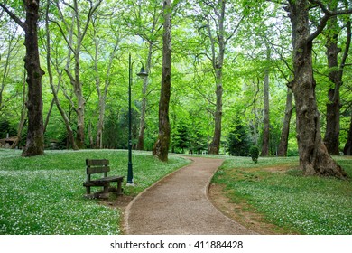 Abandoned Bench With Street Lamp Near Sidewalk In Park