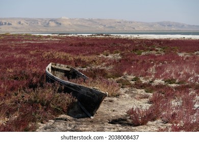 Abandoned Boats On The Territory Of The Drying Up Aral Sea