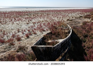 Abandoned Boats On The Territory Of The Drying Up Aral Sea