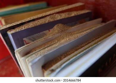 Abandoned Book Collections In An Old Library