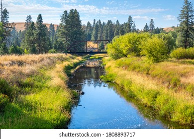 An abandoned bridge crosses over a small creek near the Elberton Ghost Town in Washington State, USA