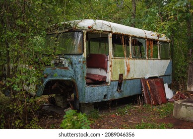 abandoned broken rusty kids bus overgrown with trees in the forest