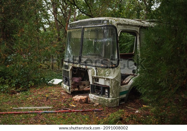 abandoned broken rusty kids bus overgrown with\
trees in the forest