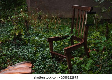 904 Overgrown seat Images, Stock Photos & Vectors | Shutterstock