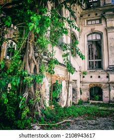 
Abandoned building in a city. Rundown old house in the city center of Kuala Lumpur. Outside a stone building with visible brick walls behind the facade. Tropical plants and trees outside a house.