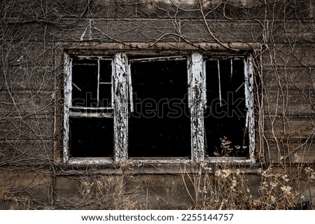 Abandoned Building in East Cleveland, Ohio. Stock photo © 