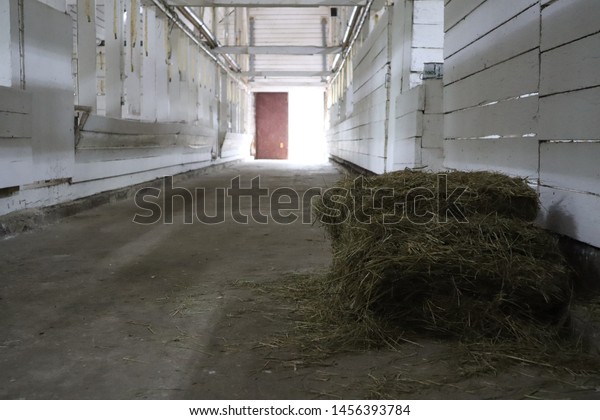 Abandoned Building Farm Shelter Barn Haystacks Stock Photo Edit