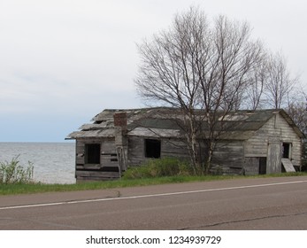 Abandoned building in the forest