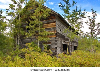 An Abandoned Building And Overgrown Lot.  