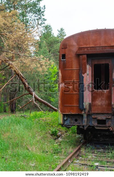 abandoned burning car of a passenger train\
stands on the rails in the spruce forest on a Sunny day. tourist\
walk through the abandoned urban locations. equipment after\
disasters and military\
operation