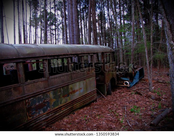 Abandoned bus and car in the\
woods
