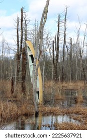 An Abandoned Canoe In Sturbridge Mass