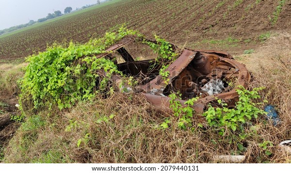 Abandoned Car at country side, covered with green\
plants, Rusted\
vehicle