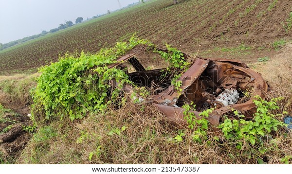 Abandoned Car at country side, covered with green\
plants, Rusted\
vehicle