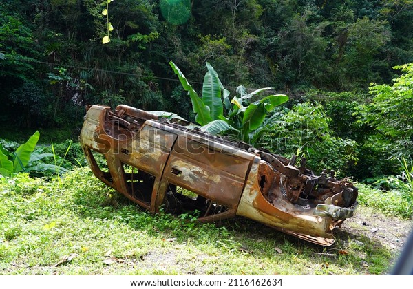 abandoned Car flipped over\
in rainforest