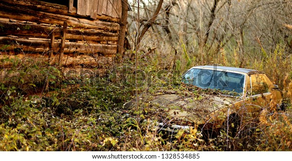 Abandoned car in\
forest