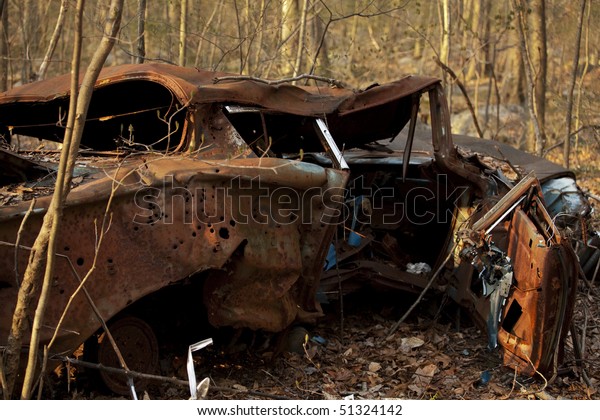 abandoned car in the\
forest