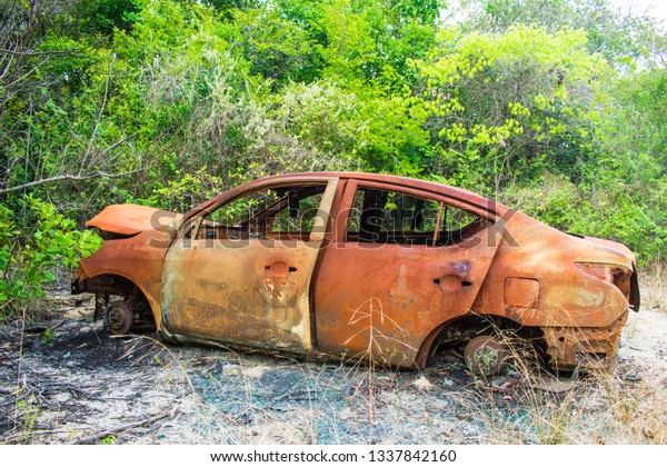 Abandoned\
car in the forest - Ilha de Itamaraca,\
Brazil