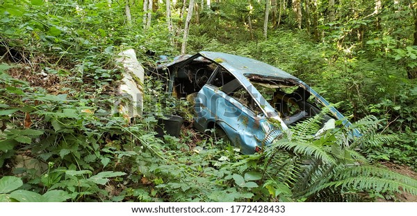 Abandoned car in forest. Nature reclaiming broken\
down car.