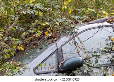 Abandoned car overgrown with vegetation. Motor vehicle dumped in woodland and partially hidden by plants. Discarded or broken down and neglected car reclaimed bt nature in the countryside.