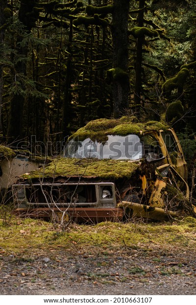 Abandoned car in the\
woods