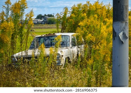 Abandoned car.A deeply moving sight.