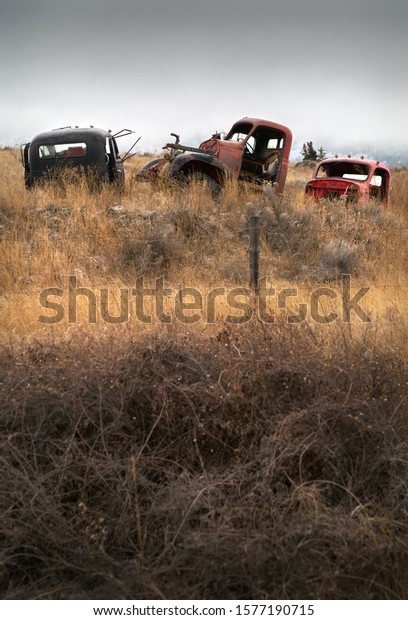 Abandoned Cars Farmland. Old\
abandoned trucks in the Pacific Northwest.\
\
                     \
         