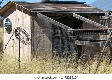 Best Chicken Coop Stock Photos Pictures Royalty Free Images Istock