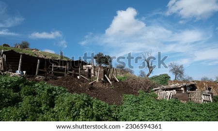 Abandoned and collapsing animal farm building in the field. Deserted places Cyprus.