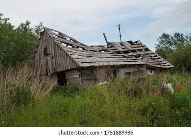 Abandoned Collapsing Wooden Hut Taken Over Stock Photo 1751889986 ...