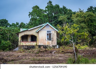 Abandoned damaged old house/home with an ackee fruit tree in front, in tropical Caribbean island countryside. Small deserted dwelling in rural Jamaica.