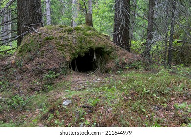 An Abandoned Den Of A Bear