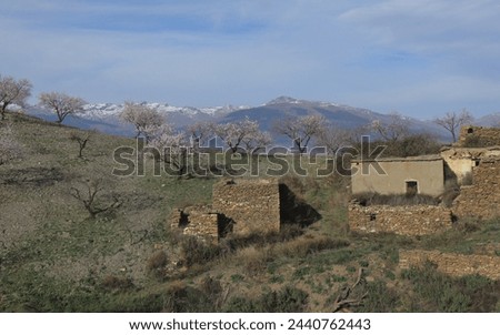abandoned depopulated rural agricultural area