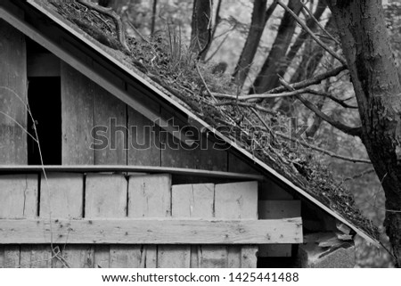 An abandoned and derelict shed in the woods with twigs on the roof rendered in black and white