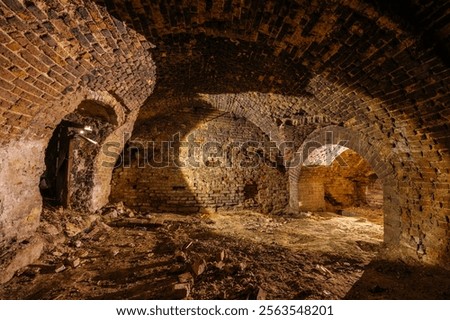 Abandoned empty old dark underground vaulted cellar.