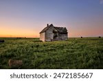 Abandoned farm house in open range near Reece, Kansas 