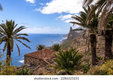 Abandoned farm house and tropical palm trees with panoramic view on Roque de las Animas crag in the Anaga mountain range, Tenerife, Canary Islands, Spain, Europe. Hiking trail from Afur to Taganana - Powered by Shutterstock