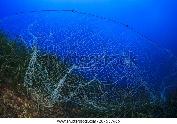 Abandoned fishing net underwater causes\
environmental problem and\
pollution