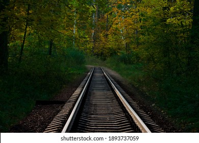 abandoned forest rail road in summer forest - Powered by Shutterstock