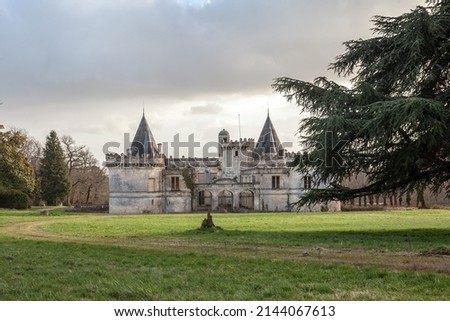 Abandoned French castle, a chateau, for real estate sale, neglected, in the aquitaine region,  in France, in a vineyard area, near Saint Emilion.


