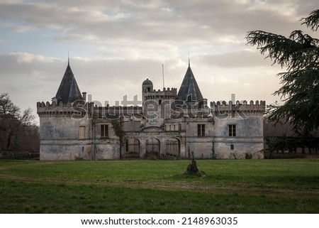 Abandoned French castle, a chateau, for real estate sale, neglected, in the aquitaine region,  in France, in a vineyard area, near Saint Emilion.



