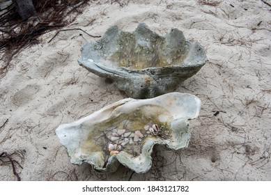 Abandoned Giant Clam Shell At The Beach