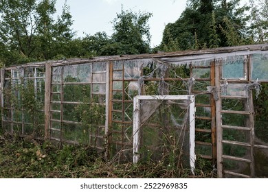 Abandoned Greenhouse Overrun by Nature and Time. - Powered by Shutterstock