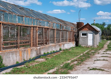 Abandoned greenhouses in the village. Chernobyl exclusion zone , Ukraine - Powered by Shutterstock