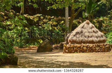 abandoned hay thatch hut in the jungle waimea oahu hawaii