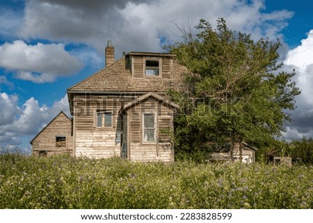 Abandoned home and barn with alfalfa in the foreground on the prairies in Saskatchewan