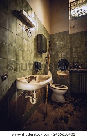 Similar – Morbid mood. A toilet bowl stands in a dilapidated house. Wallpaper and paint come off the wall and through an open window you can see a shrub