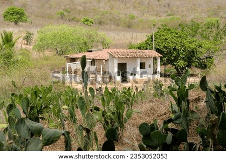 abandoned house in the countryside, white house in the countryside, simple country house, house in the interior of brazil, Brazilian Northeast
