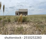 Abandoned house in a field 